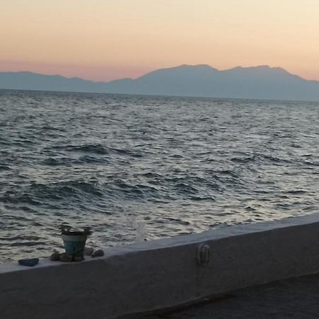 George & Katerina Houses Paralia Dionysiou Exterior foto